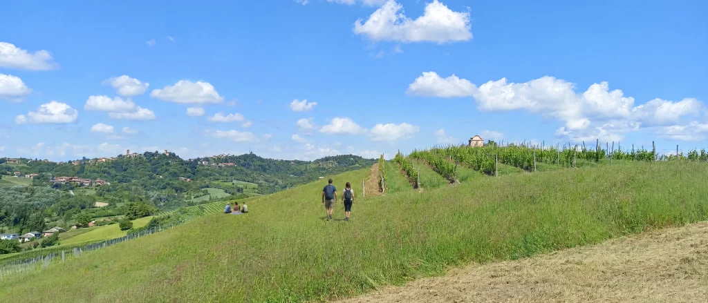 Cosa fare nel Monferrato